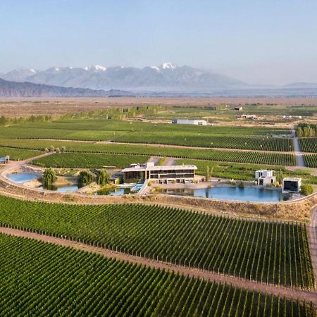 Casa De Uco Vineyards And Wine Resort Los Árboles Exterior foto