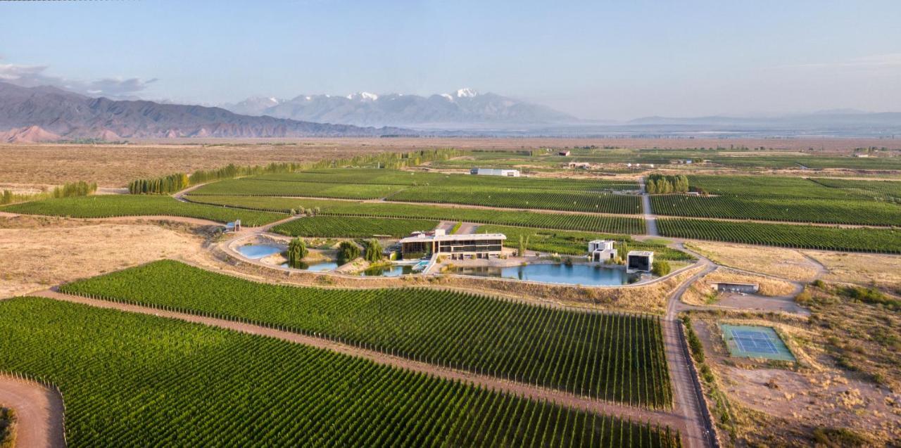 Casa De Uco Vineyards And Wine Resort Los Árboles Exterior foto