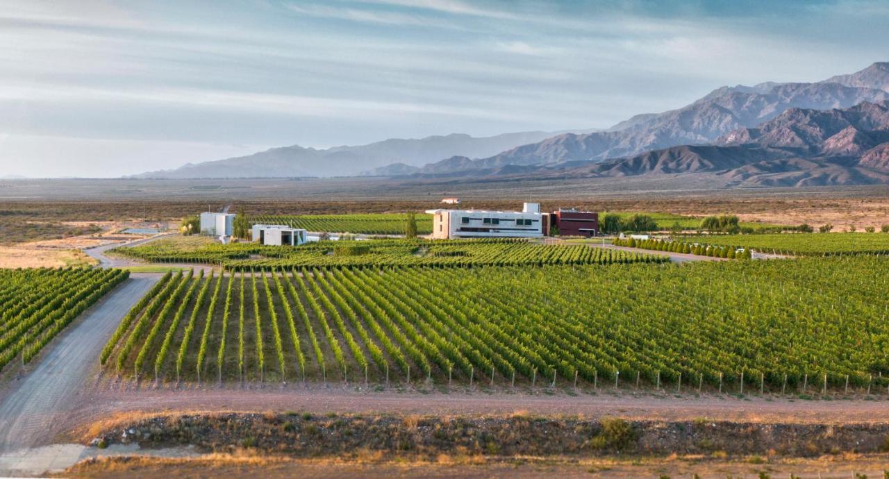Casa De Uco Vineyards And Wine Resort Los Árboles Exterior foto
